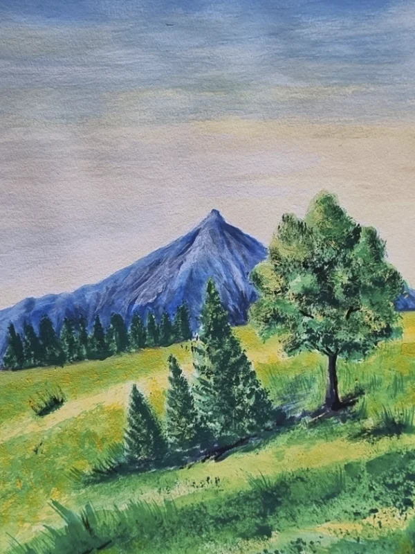 cerro azul 1 Magna Fringilla